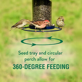 Perky Pet - Panorama Seed Feeder Sure-Lock Cap