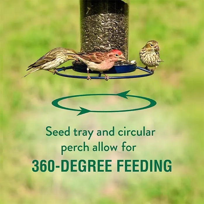 Perky Pet - Panorama Seed Feeder Sure-Lock Cap