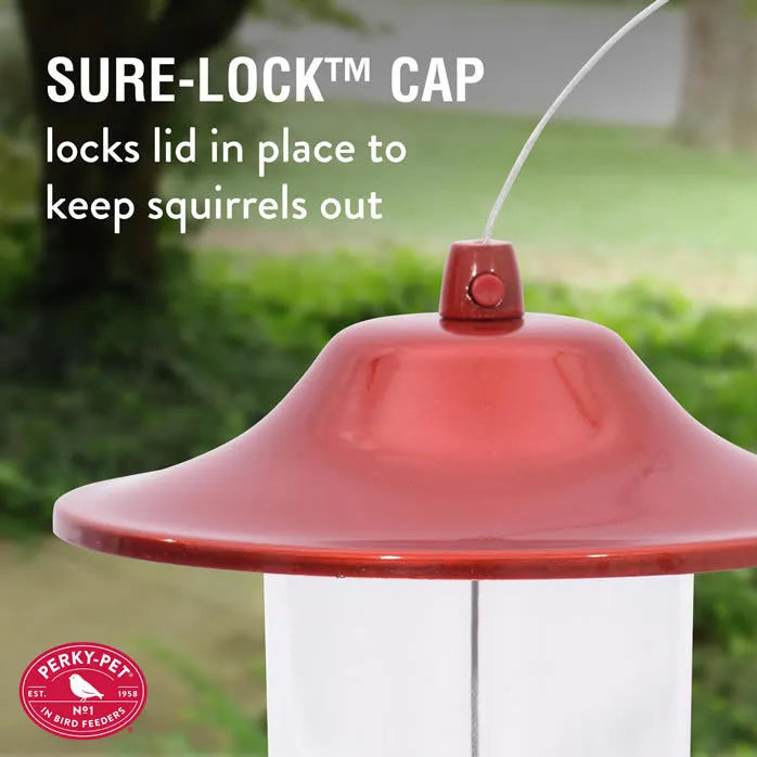 Perky Pet - Panorama Seed Feeder Sure-Lock Cap