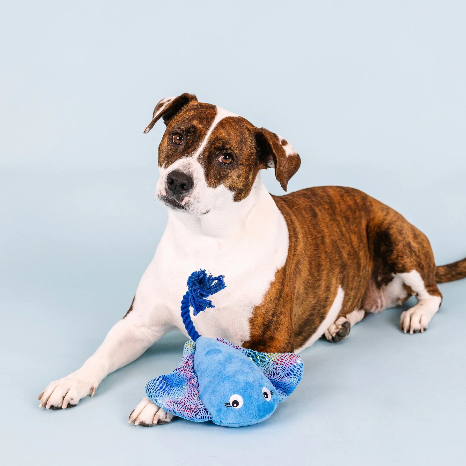 Petshop by Fringe Studio - Dog Toy Do the Right Sting