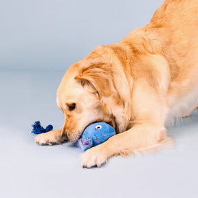 Petshop by Fringe Studio - Dog Toy Do the Right Sting