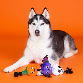 Petshop by Fringe Studio - Dog Toy Literally Dead Cute