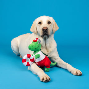 Petshop by Fringe Studio - Dog Toy ToThe Rex Cue