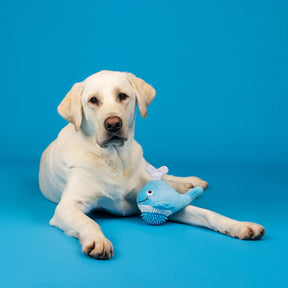 Petshop by Fringe Studio - Dog Toy Feeling Whaley Good
