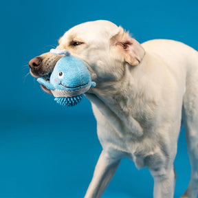 Petshop by Fringe Studio - Dog Toy Feeling Whaley Good