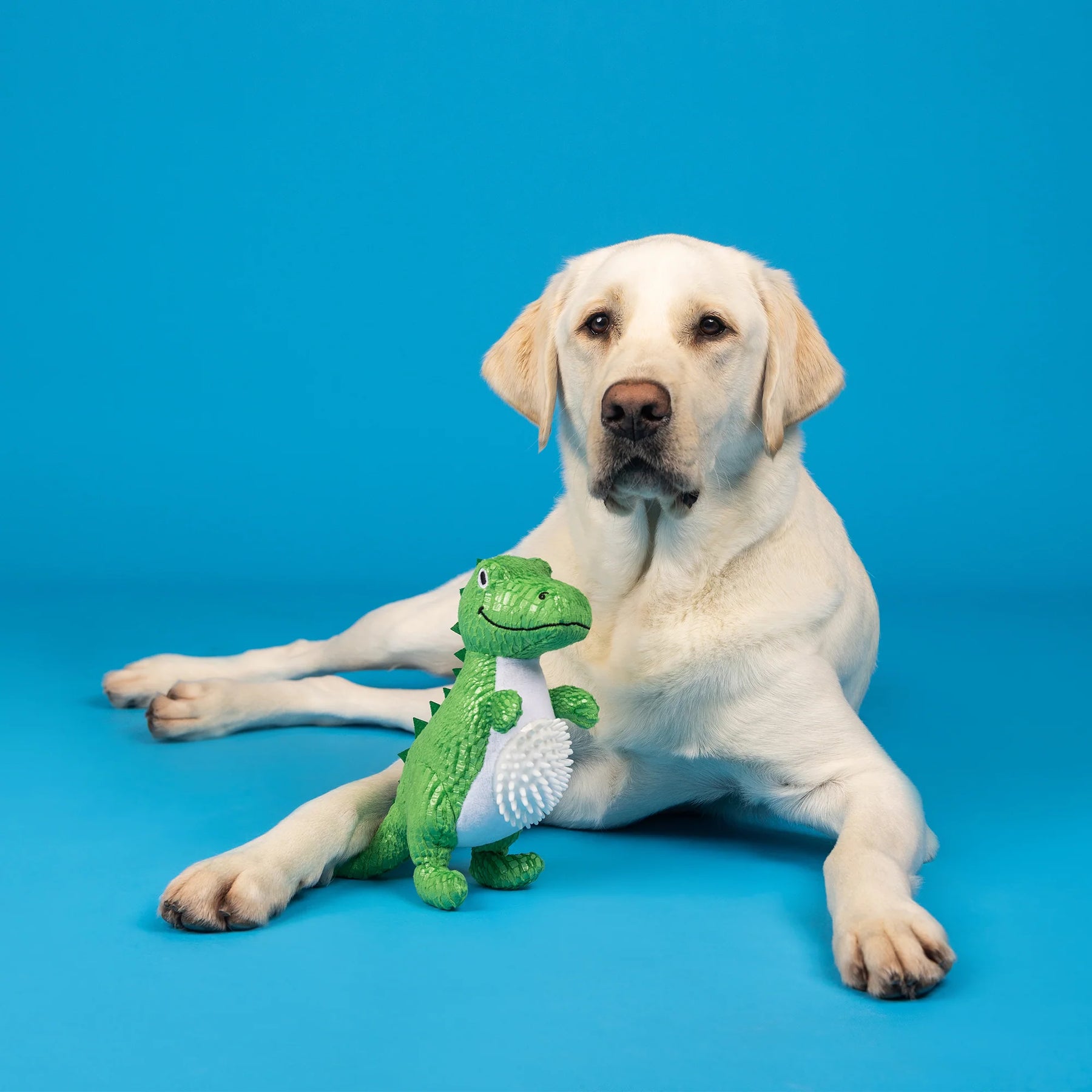 Petshop by Fringe Studio - Dog Toy Plush Roar And Explore