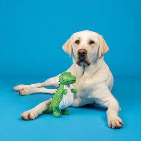 Petshop by Fringe Studio - Dog Toy Plush Roar And Explore