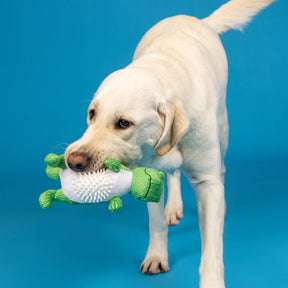 Petshop by Fringe Studio - Dog Toy Plush Roar And Explore