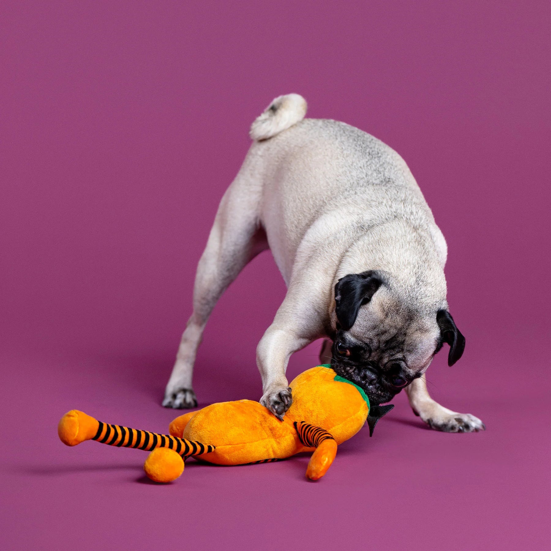 Fringe Studio - Dog Toy Harvest Cutie