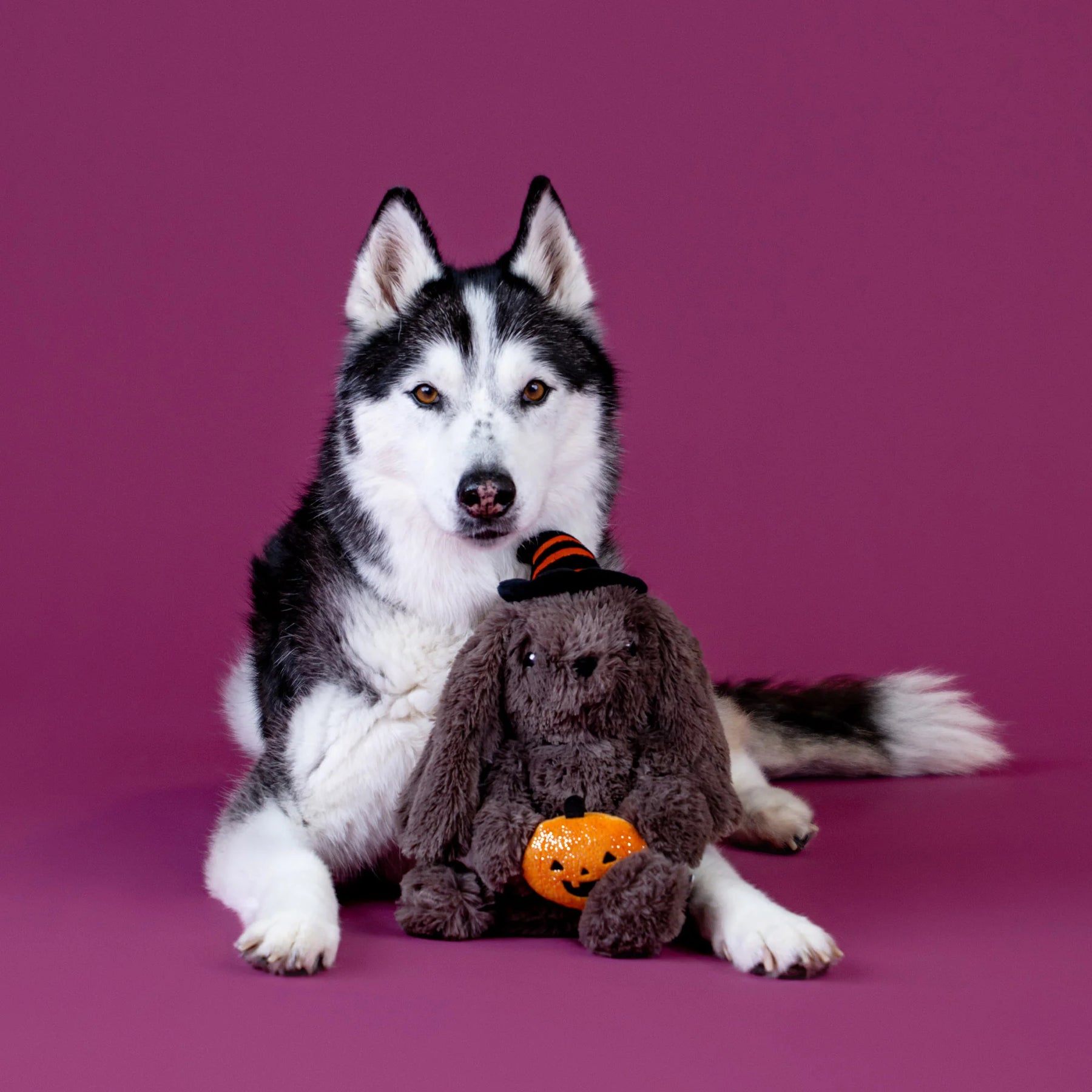Fringe Studio - Dog Toy Hocus Pocus Hare