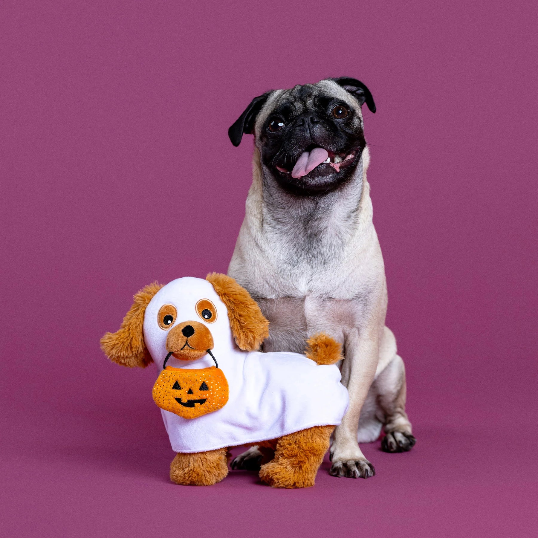 Fringe Studio - Dog Toy Hauntin 'Hound