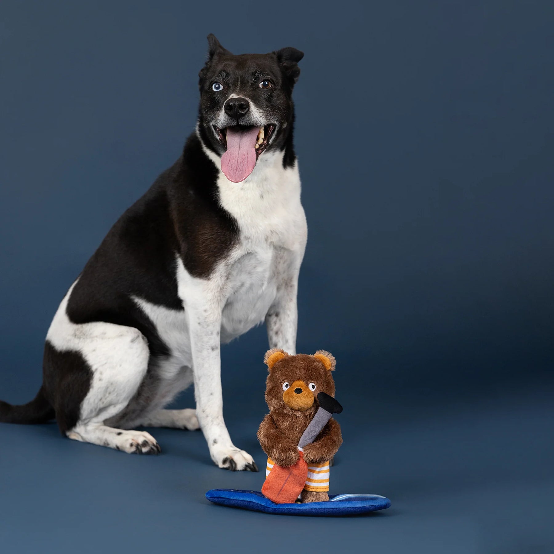 Petshop by Fringe Studio - Dog Toy Water You Waiting For