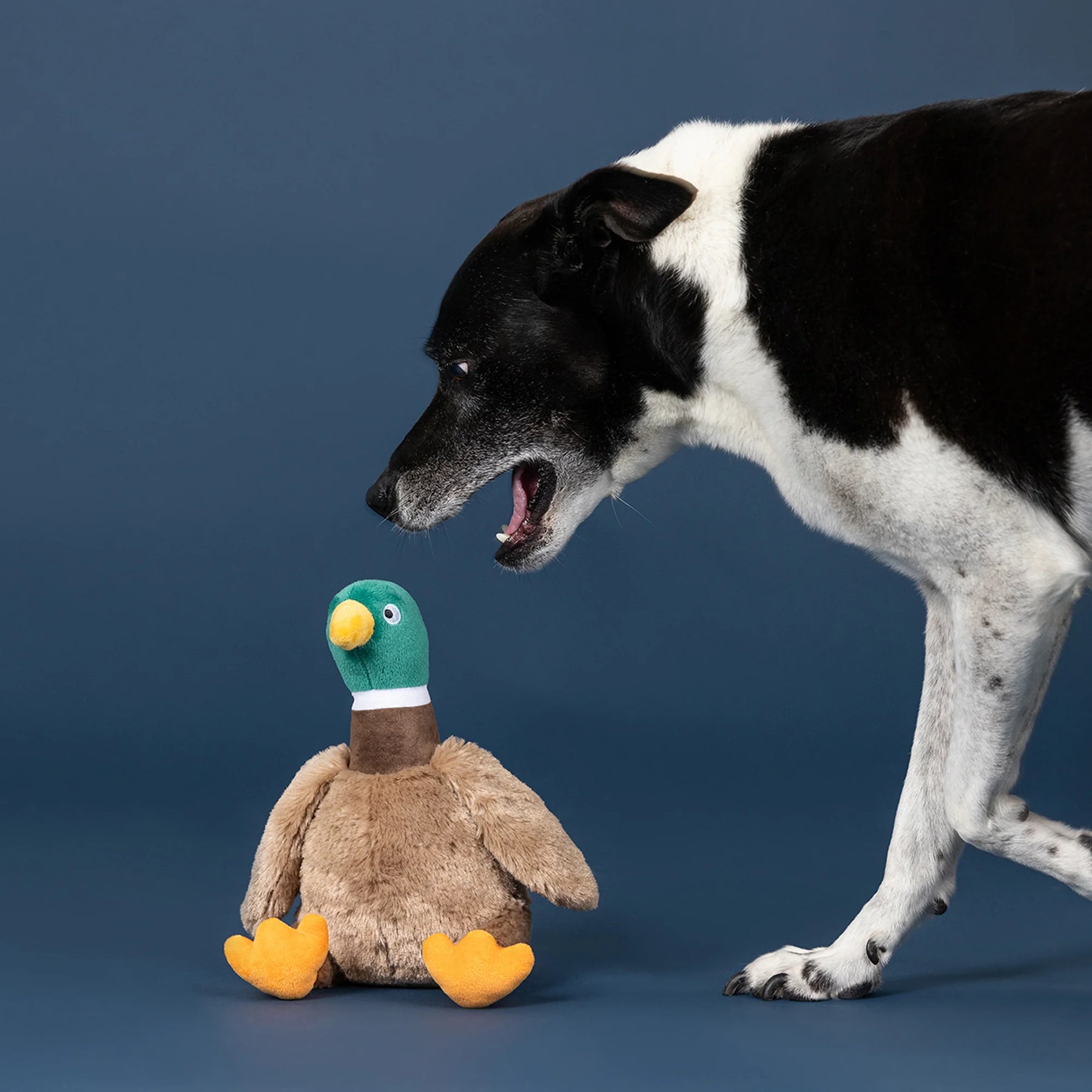 Petshop by Fringe Studio - Dog Toy Just Ducky