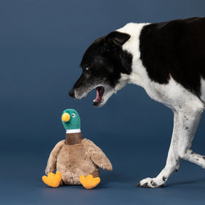 Petshop by Fringe Studio - Dog Toy Just Ducky
