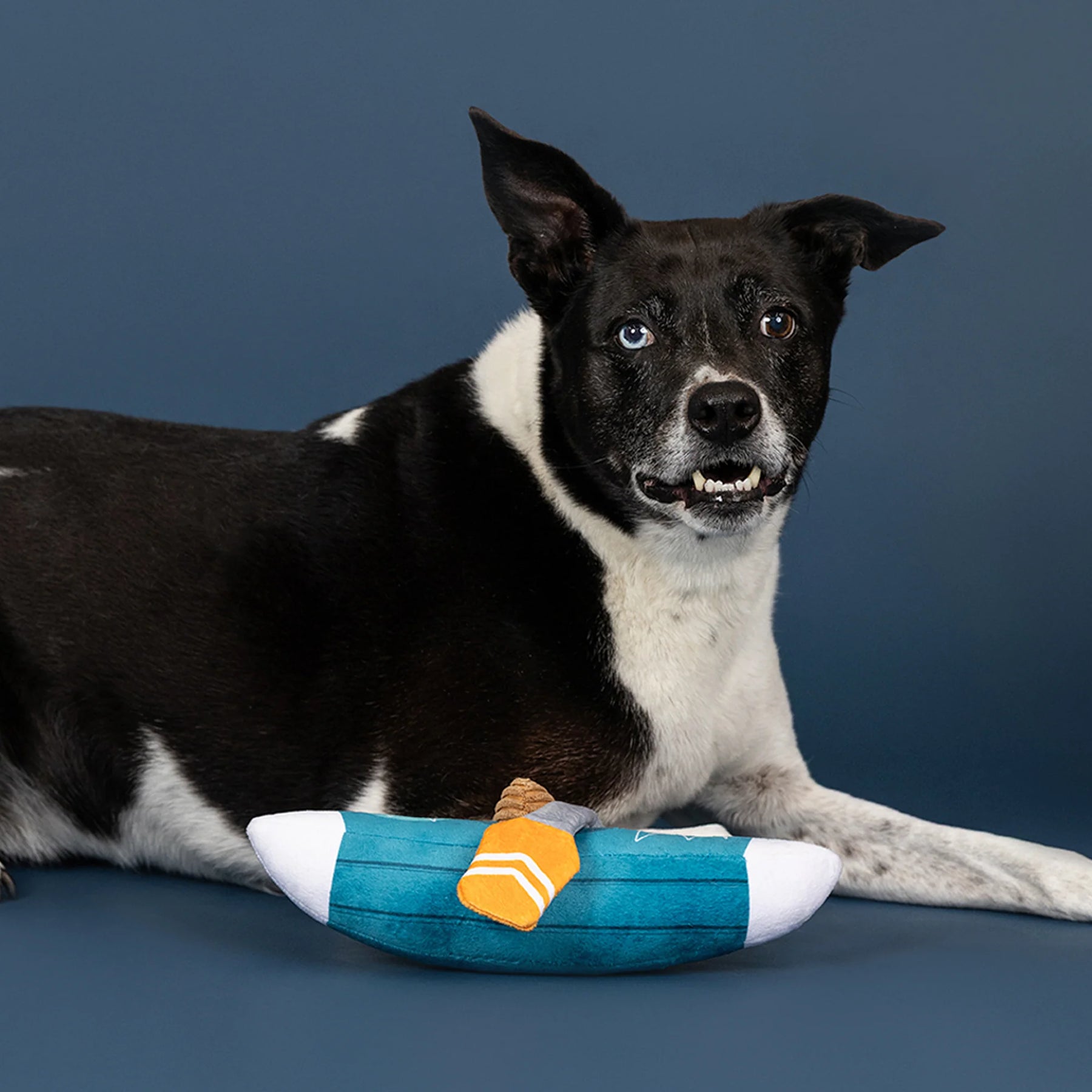 Petshop by Fringe Studio - Dog Toy Go With The Flow