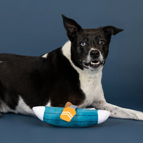 Petshop by Fringe Studio - Dog Toy Go With The Flow