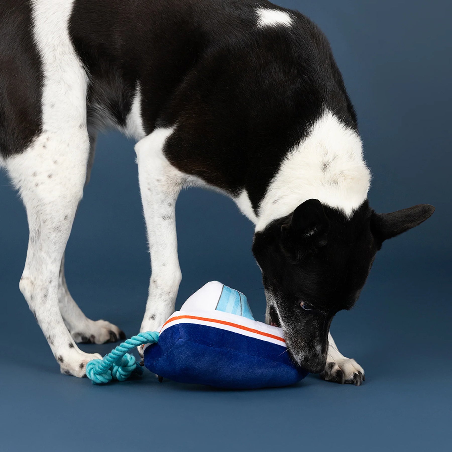 Petshop by Fringe Studio - Dog Toy Boat Loads Of Fun