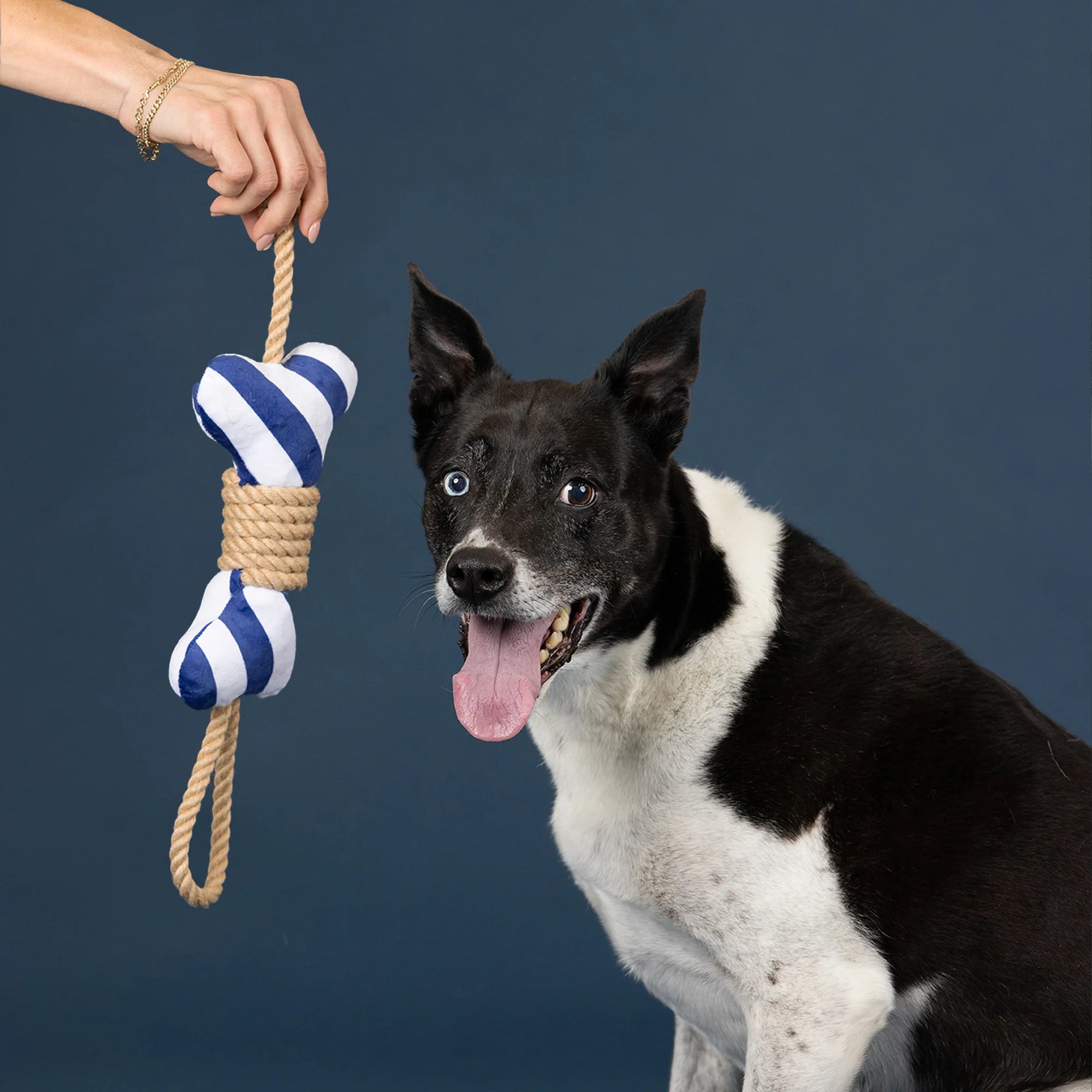 Petshop by Fringe Studio - Dog Toy Feelin Nauti