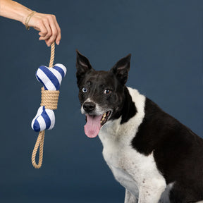 Petshop by Fringe Studio - Dog Toy Feelin Nauti