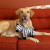 Petshop by Fringe Studio - Dog Toy I'm Stripe-Tacular