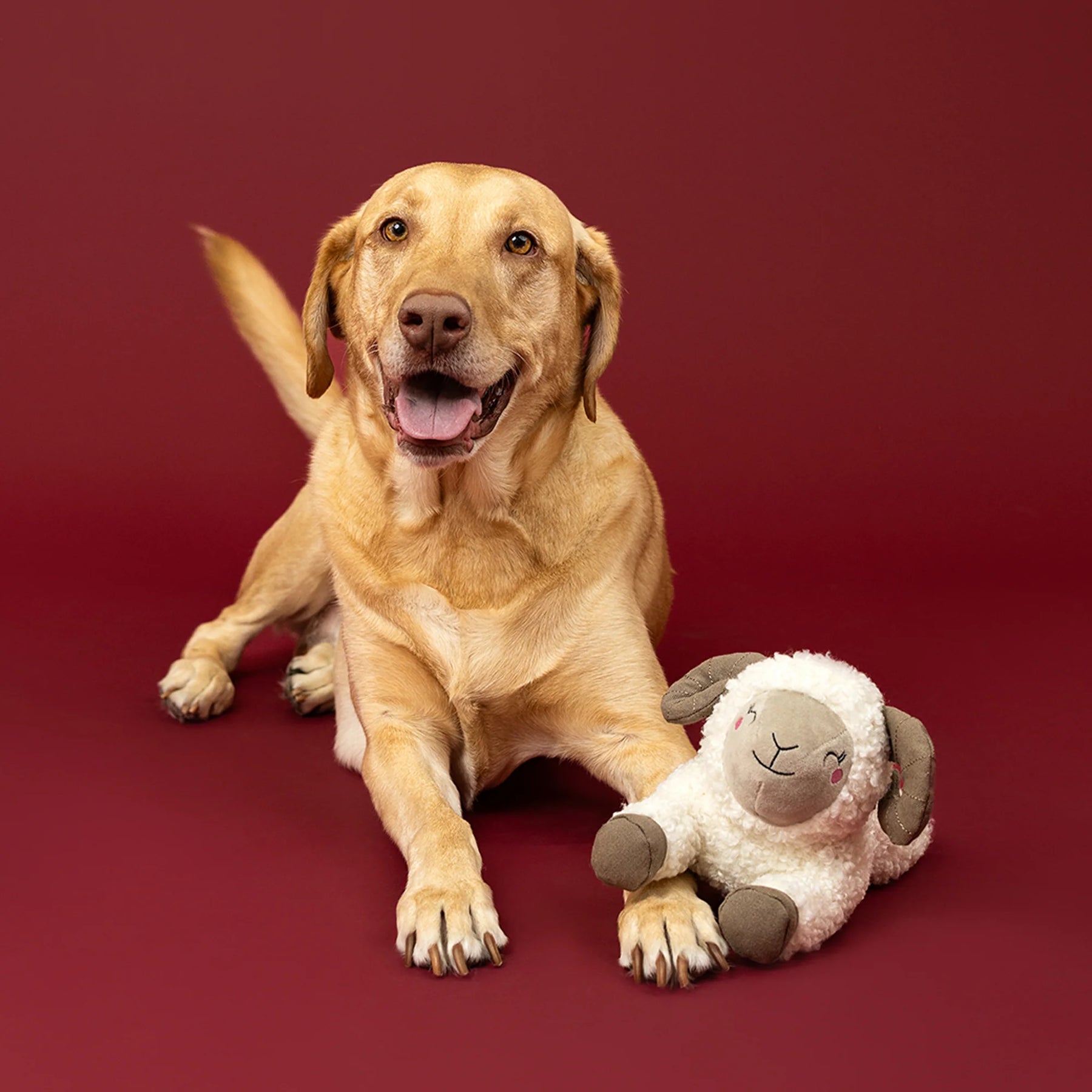 Petshop by Fringe Studio - Dog Toy You Herd Me
