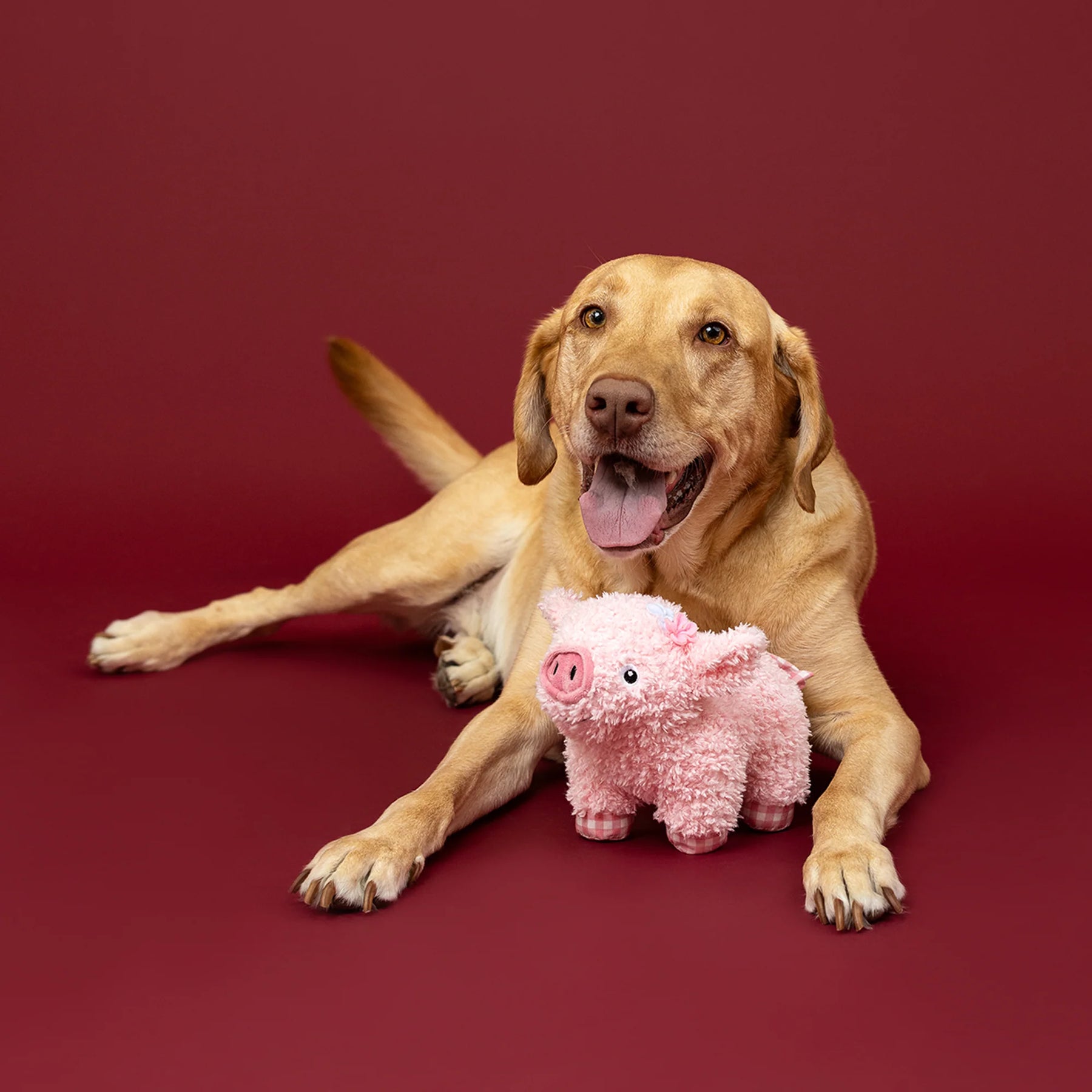Petshop by Fringe Studio - Dog Toy I Ham What I Ham