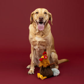 Petshop by Fringe Studio - Dog Toy Roost And Repeat