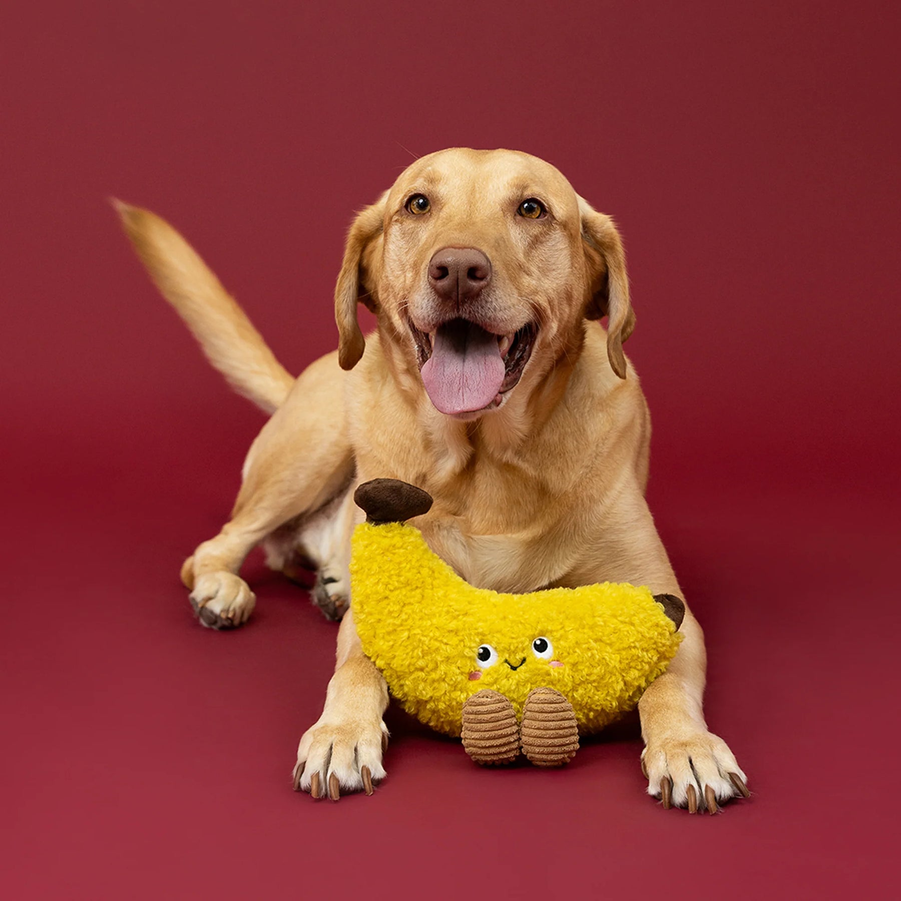 Petshop by Fringe Studio - Dog Toy Head Over Peels For You