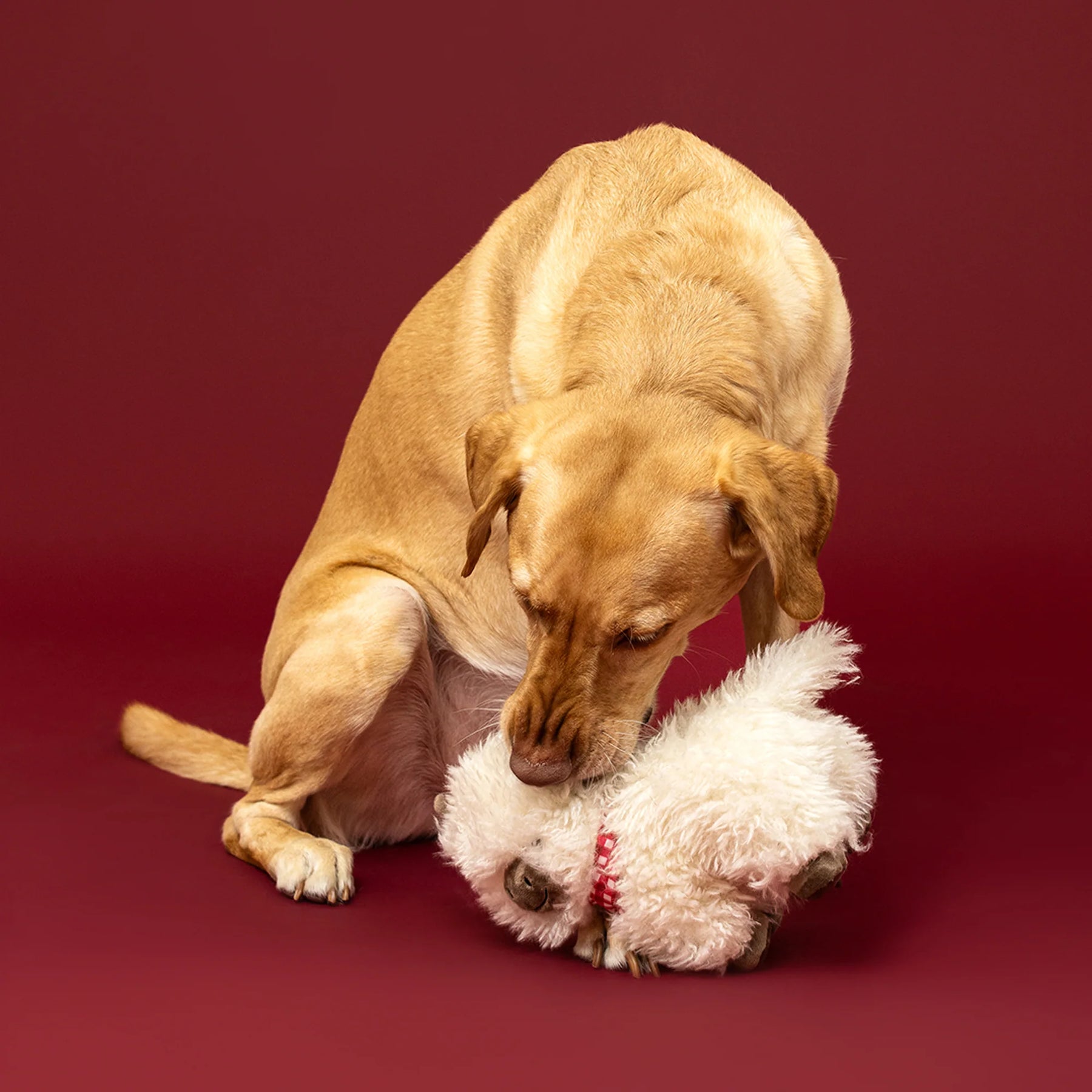 Petshop by Fringe Studio - Dog Toy Hair Today Cuddle Tomorrow Plush