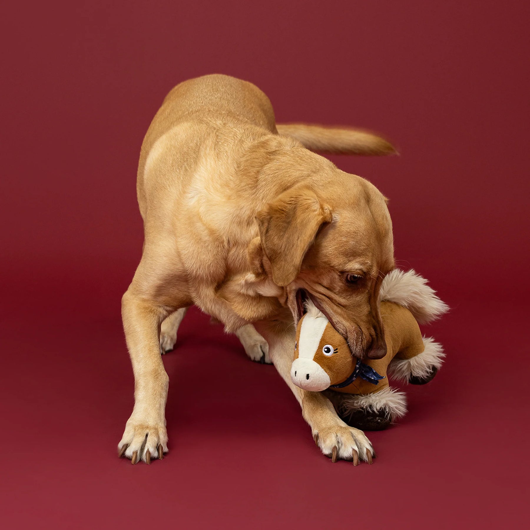 Petshop by Fringe Studio - Dog Toy Hay There Cutie