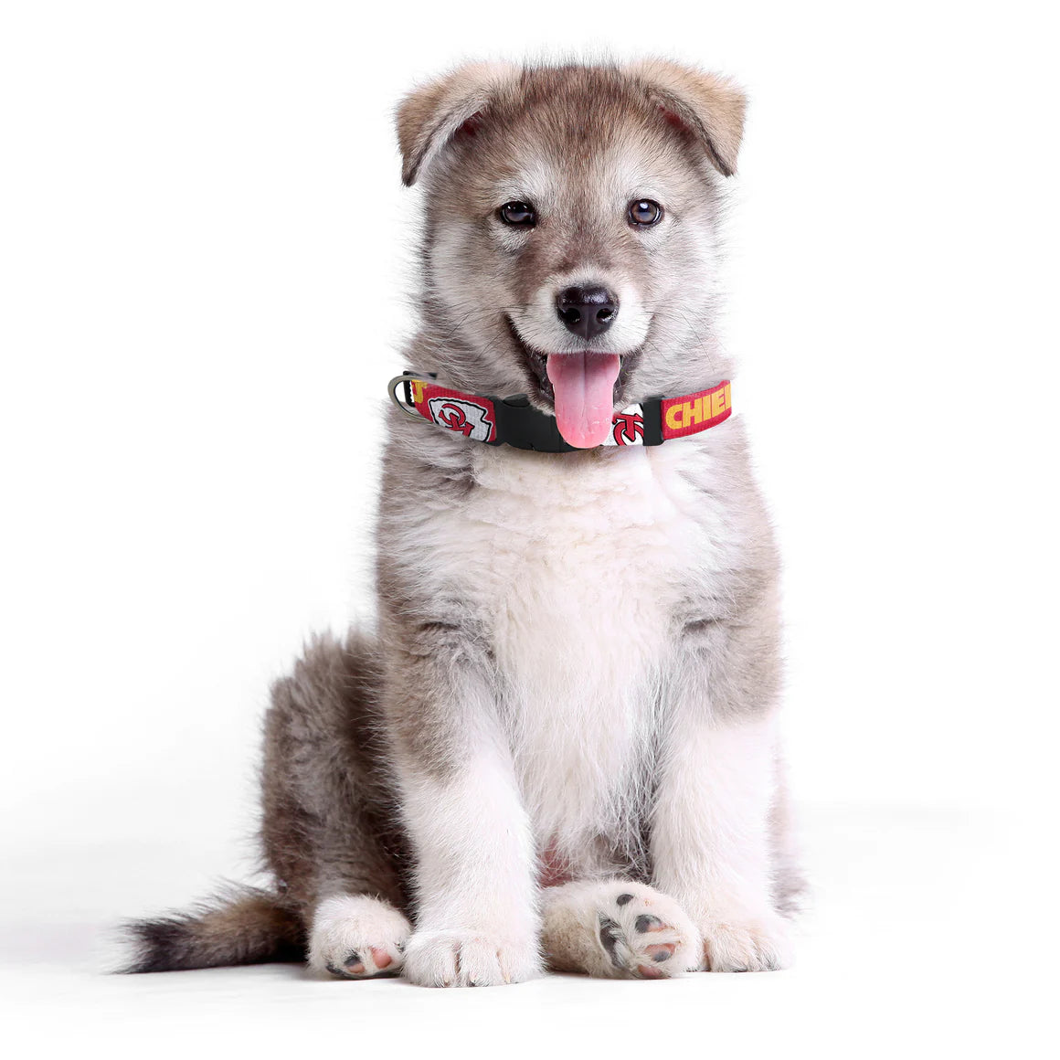 Little Earth Productions - KC Chiefs Team Pet Collar