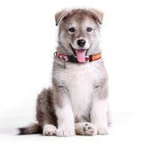 Little Earth Productions - KC Chiefs Team Pet Collar