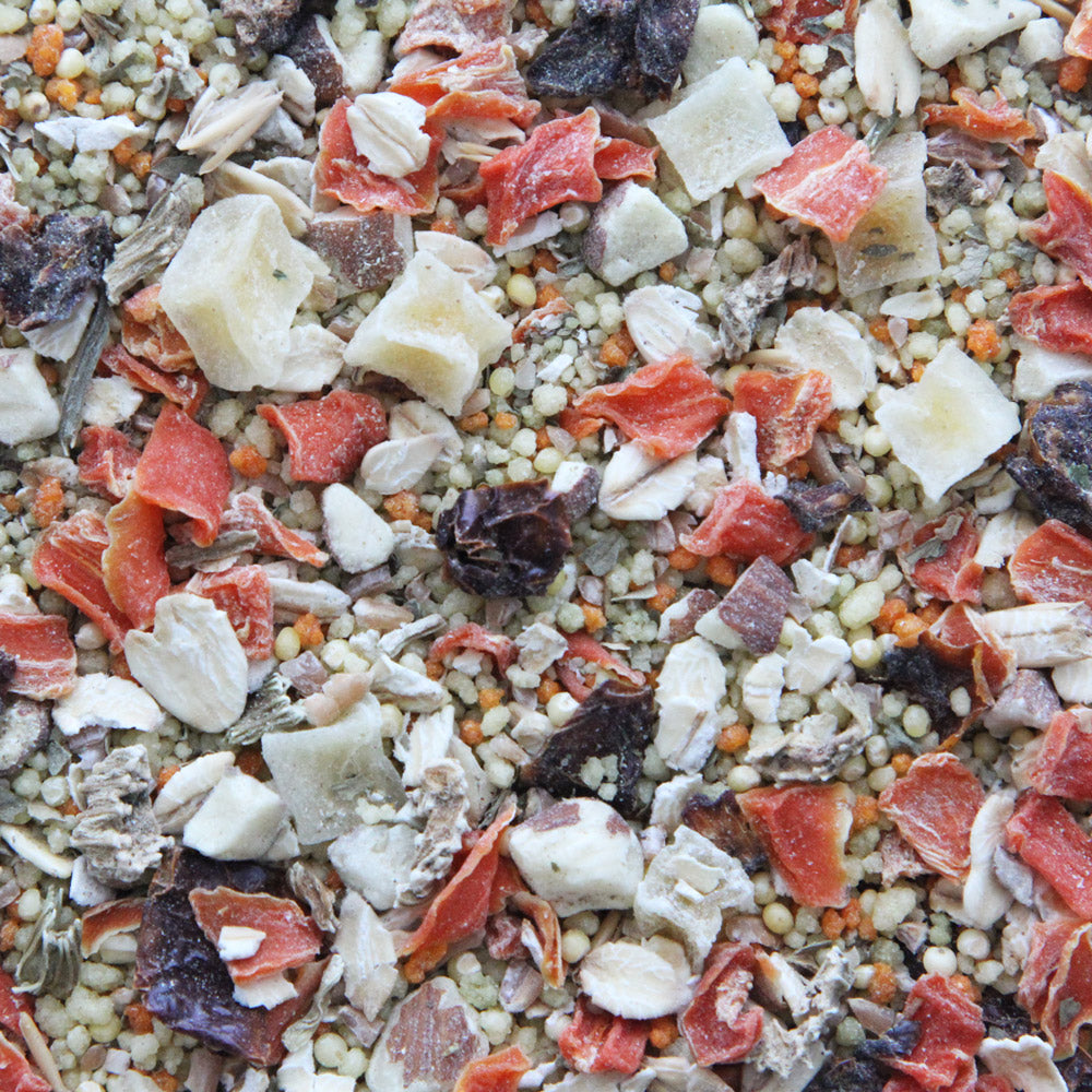 Higgins - Worldly Cuisine - Tuscan Dream Bird Food - Southern Agriculture 