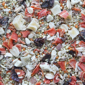 Higgins - Worldly Cuisine - Tuscan Dream Bird Food - Southern Agriculture 