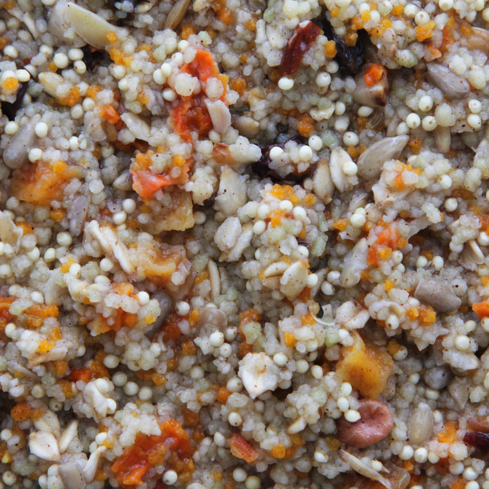 Higgins - Worldly Cuisine - Spice Market Bird Food