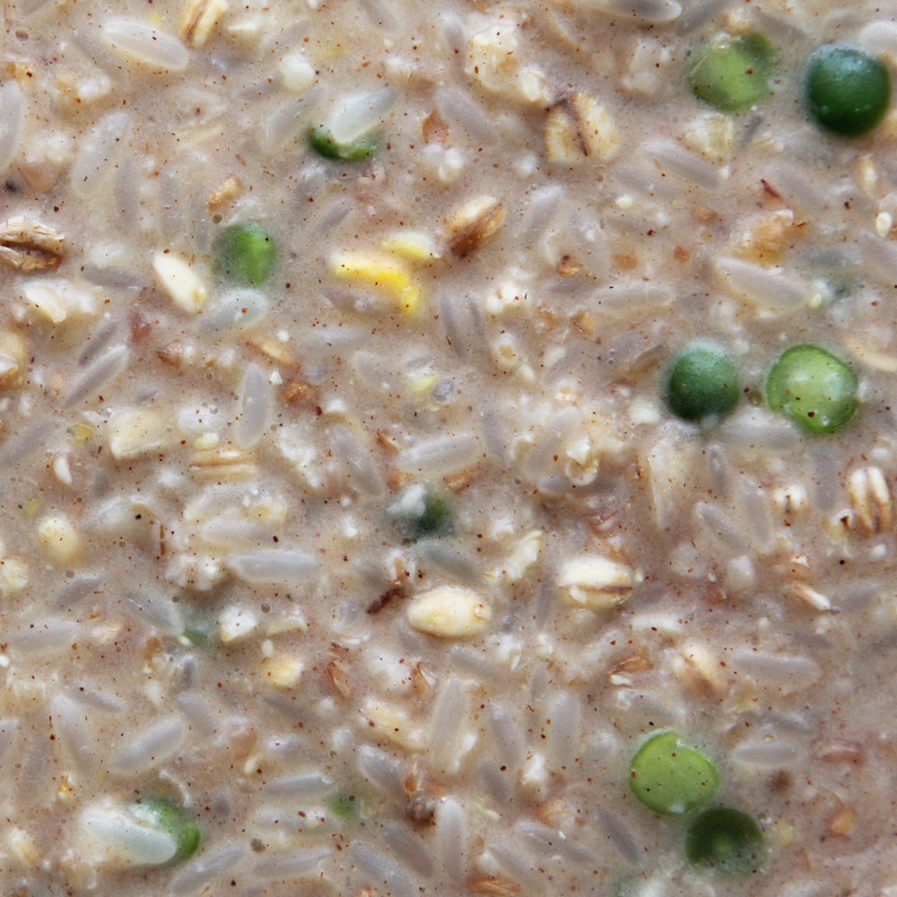 Higgins - Worldly Cuisine - Creamy Zen Bird Food