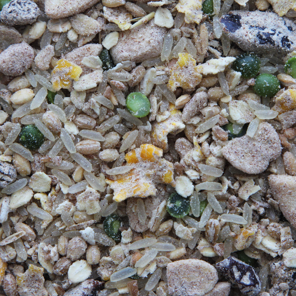 Higgins - Worldly Cuisine - Creamy Zen Bird Food