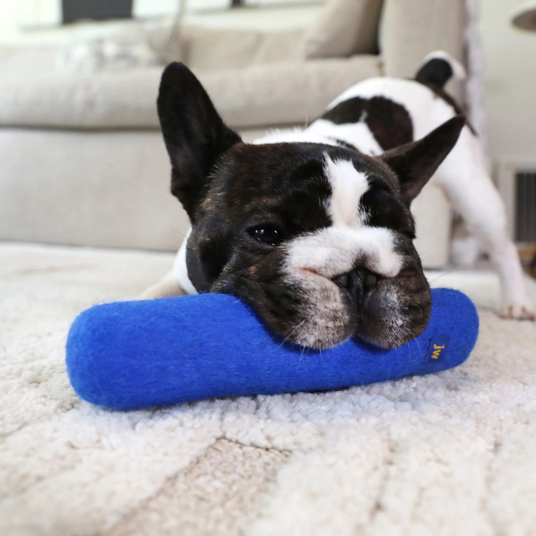 Petmate - Wool-ee Crunch Stick Dog Toy