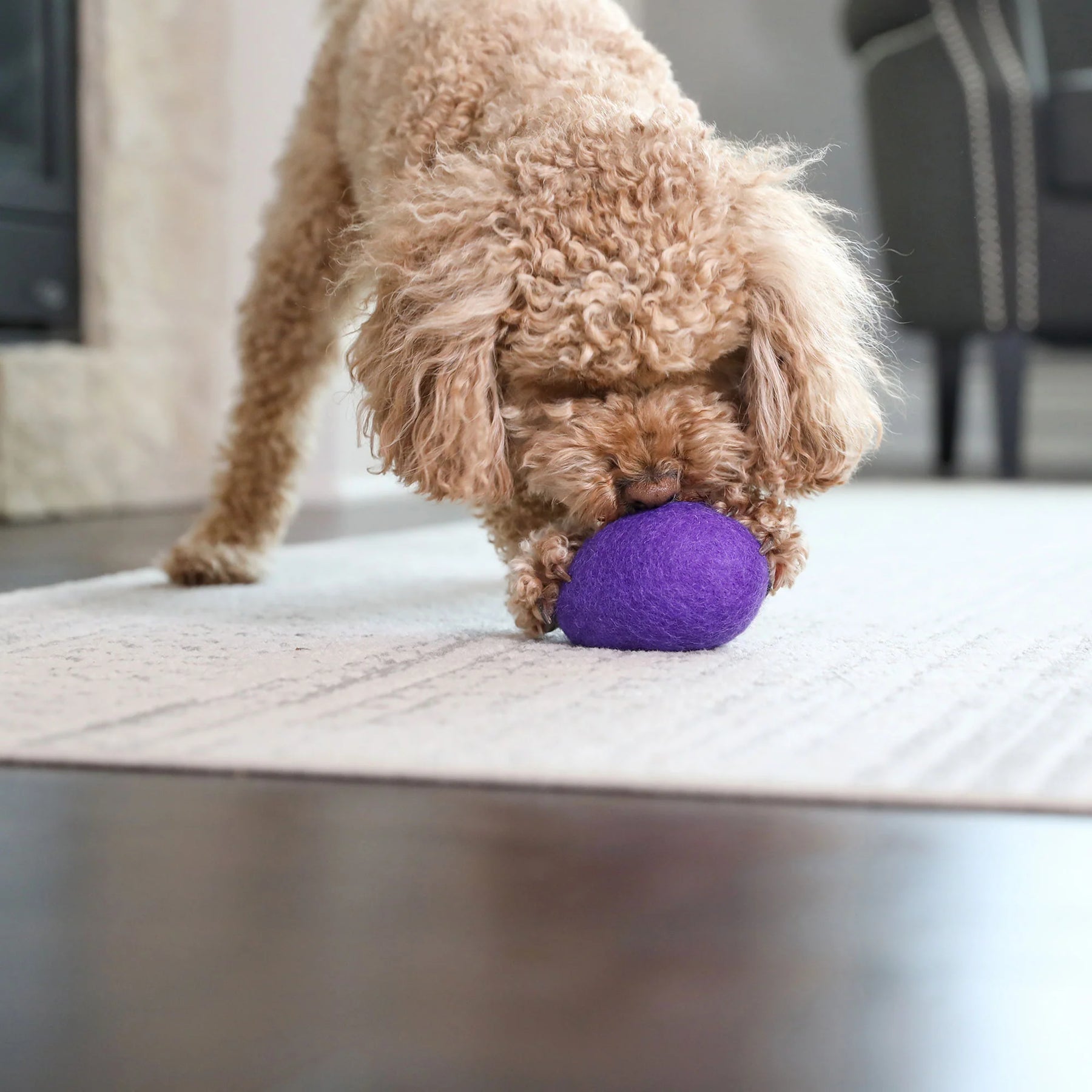 Petmate - Wool-ee Football Dog Toy