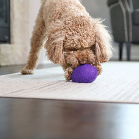 Petmate - Wool-ee Football Dog Toy