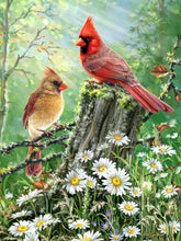 Allied Products-Springbok - Golden Light Puzzle