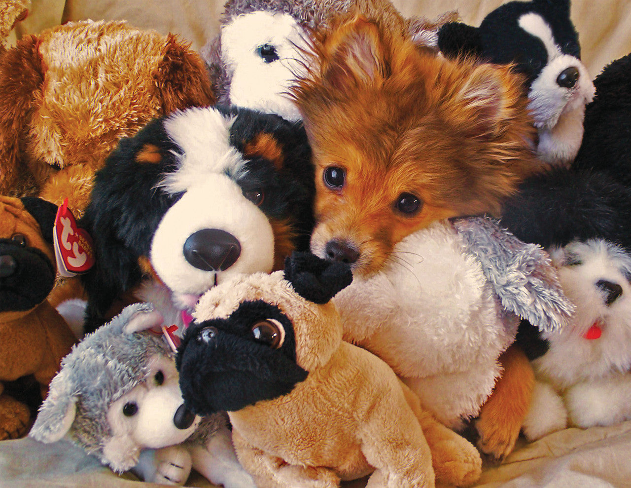 Allied Products-Springbok - Playtime Puppies Puzzle