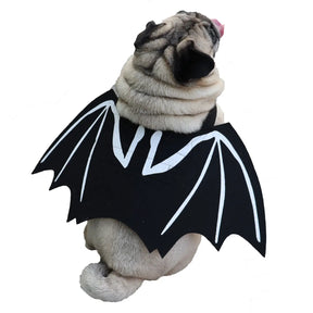 PawPaw Wholesale - Halloween Costume Bat Wings