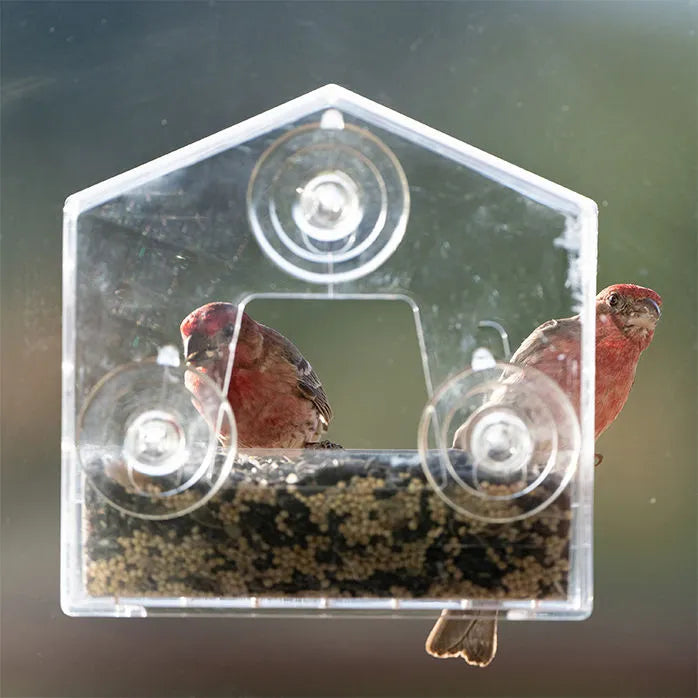 Perky Pet - Feeder for Window Small