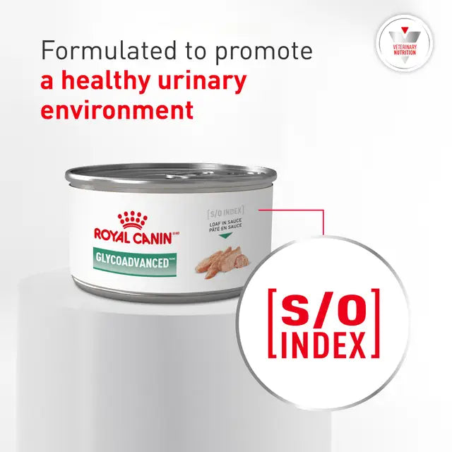 Royal Canin Veterinary Diet - Glycoadvanced Loaf In Sauce Canned Cat Food