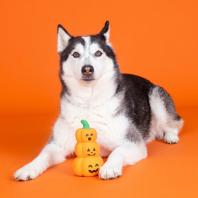 Petshop by Fringe Studio - Dog Toy GO BIG OR GOURD HOME