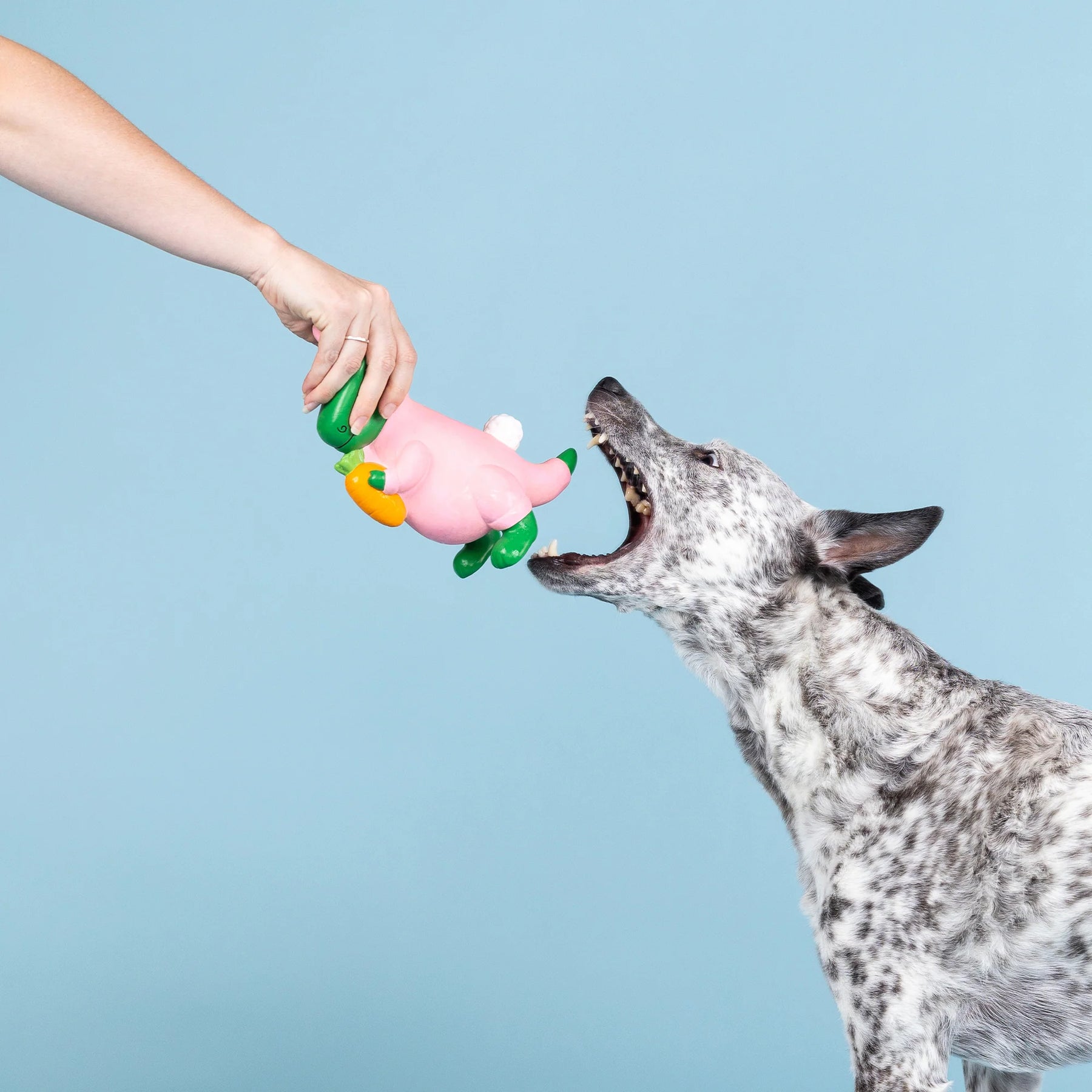 Petshop by Fringe Studio - Dog Toy Have A Hoppy Easter Latex