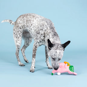 Petshop by Fringe Studio - Dog Toy Have A Hoppy Easter Latex