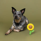 Petshop by Fringe Studio - Dog Toy Way To Grow