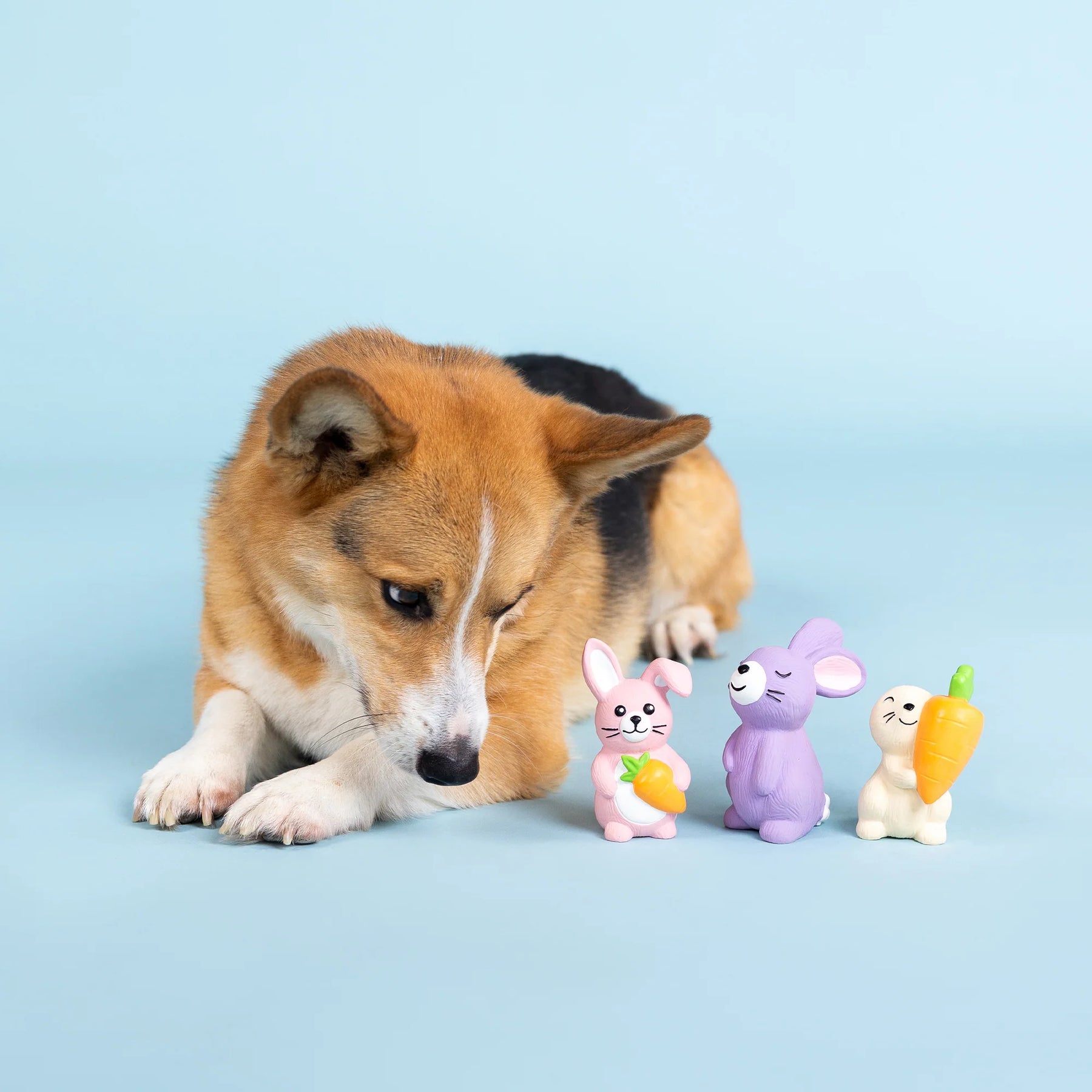 Petshop by Fringe Studio - Dog Toy Hopping Love Carrots (3 Piece Set)